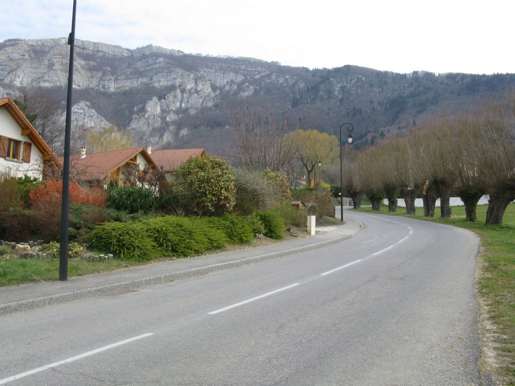 Route du Poirier à l'Ane (montée) by Paul Myers