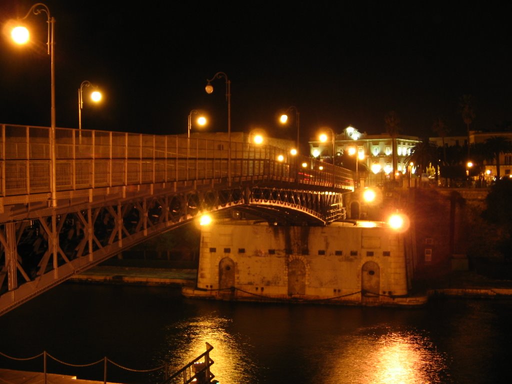 Ponte Girevole, di notte by roberto.reno