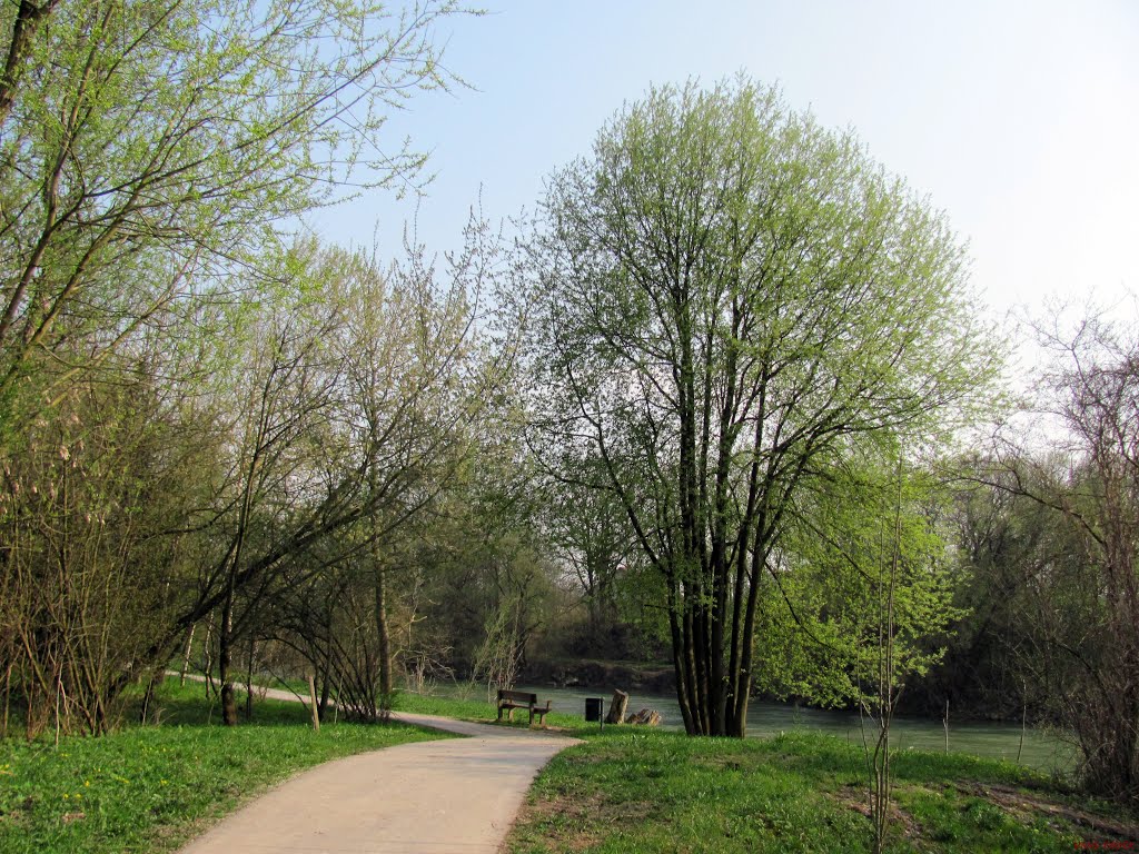 Frühlingsspaziergang an der Ybbs by Panix