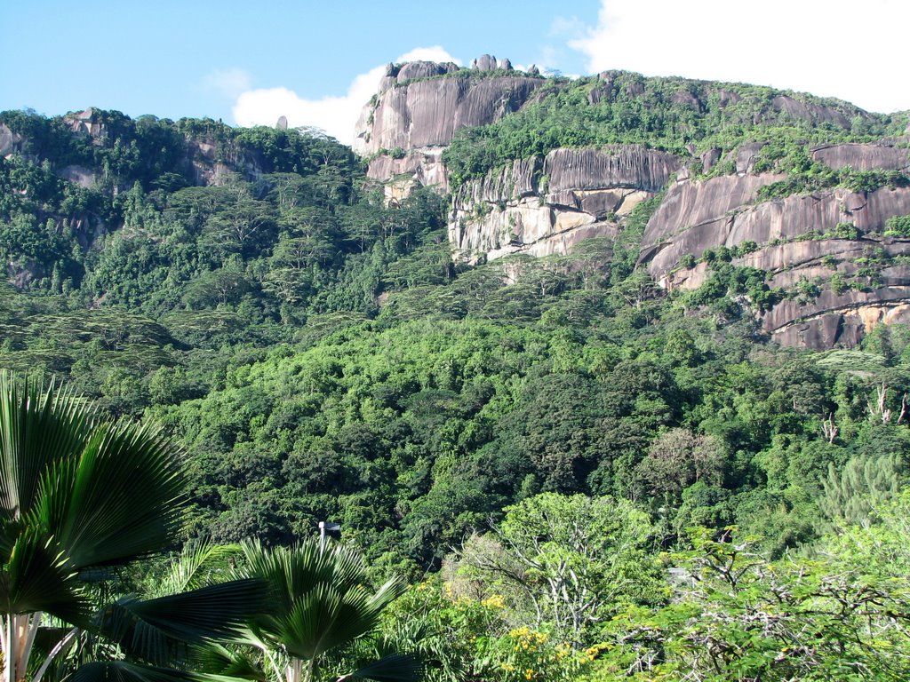 Seychelles,Mahe',natura by Alessandro Castellan…