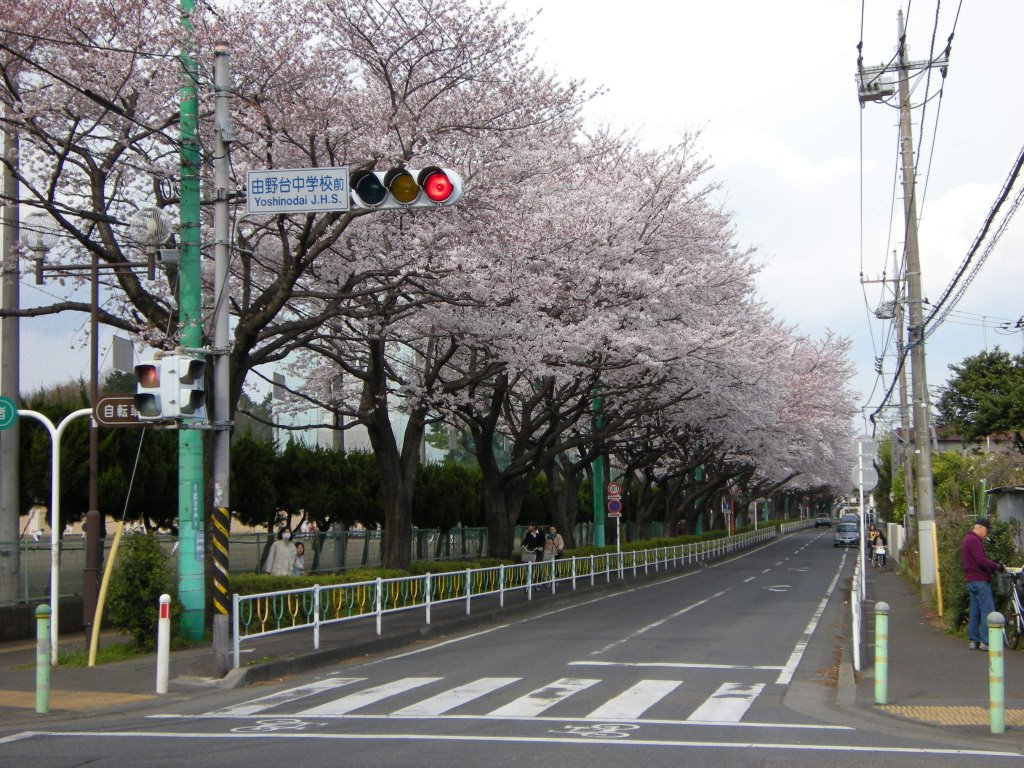 由野台中学校前 by hasano_jp