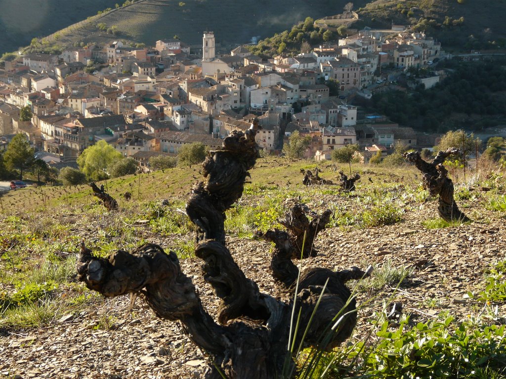 Porrera des de Sant Antoni by iblamah