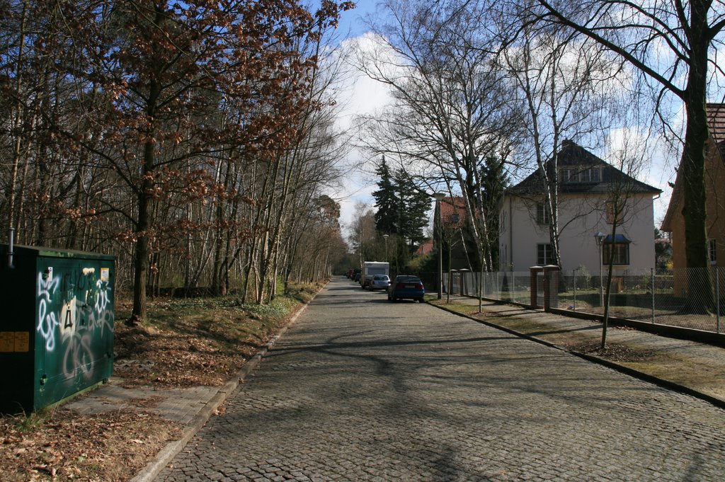 Am Gehölz by N.Herzog