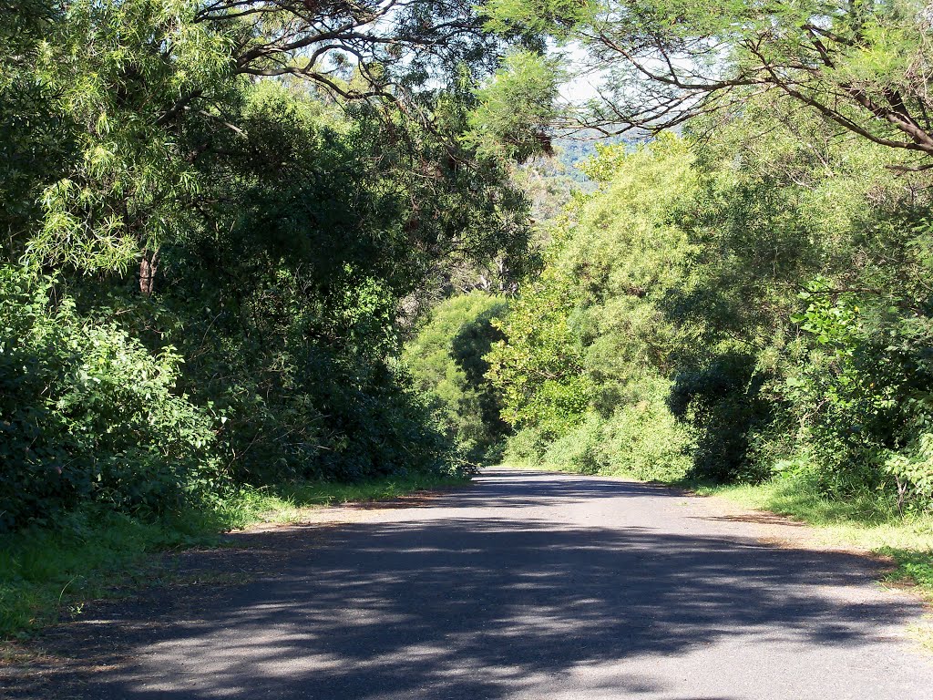 Top of Avondale Road looking SW.JPG by Tony FD62