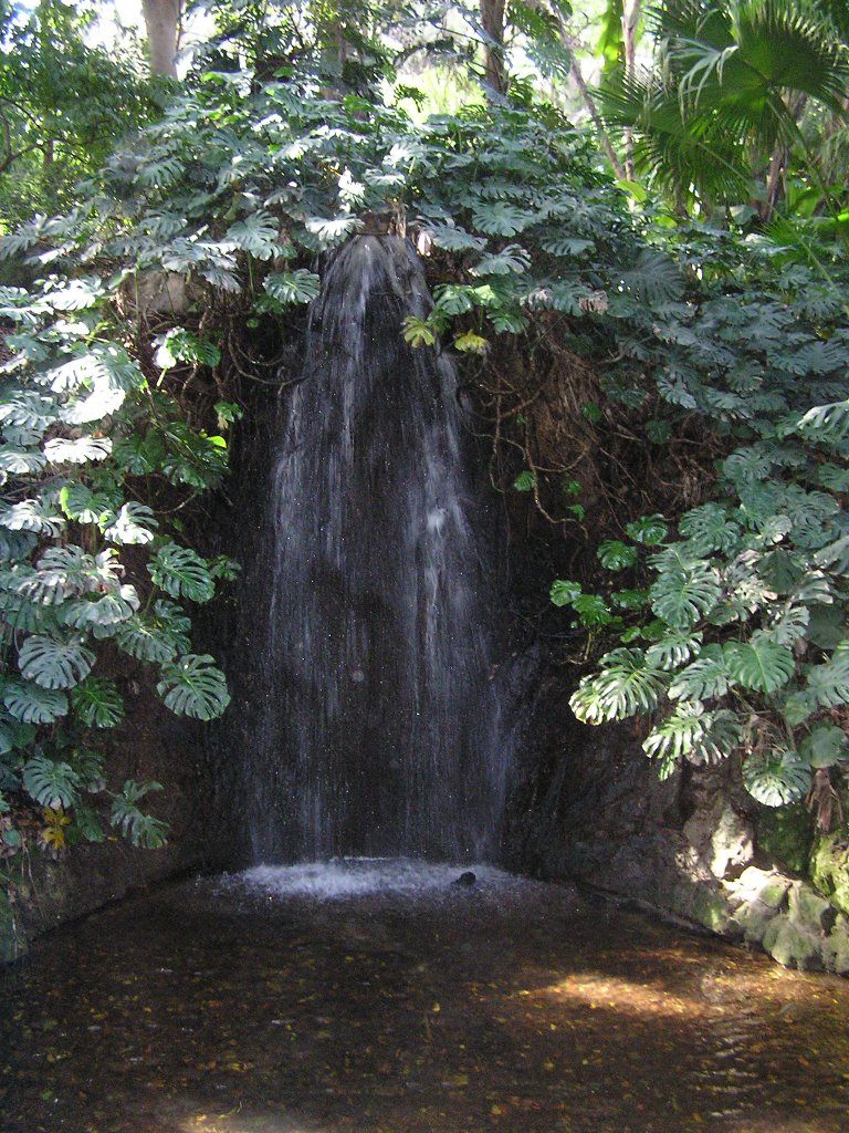 Cascada, Jardín Botánico de la Concepción by _Oscar_00