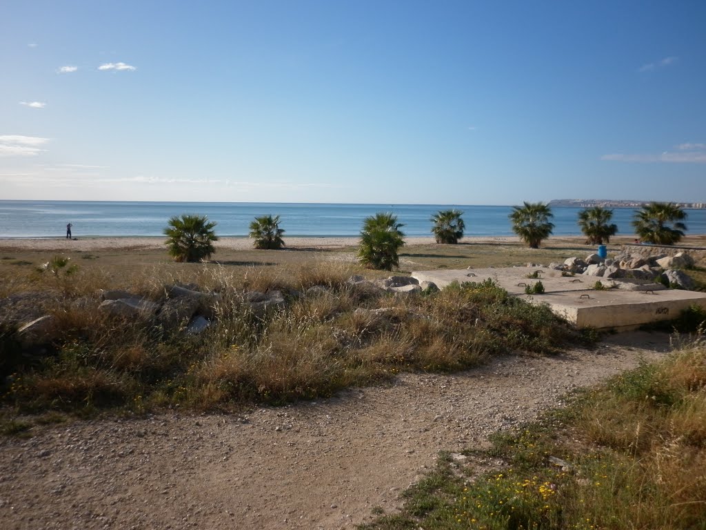 Vistas a la playa by pintatrenes