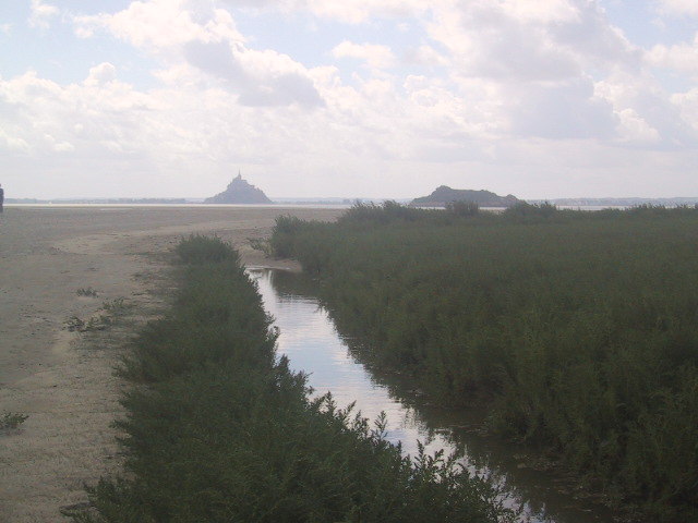 Belle vue du Mont Saint-Michel by erimel83