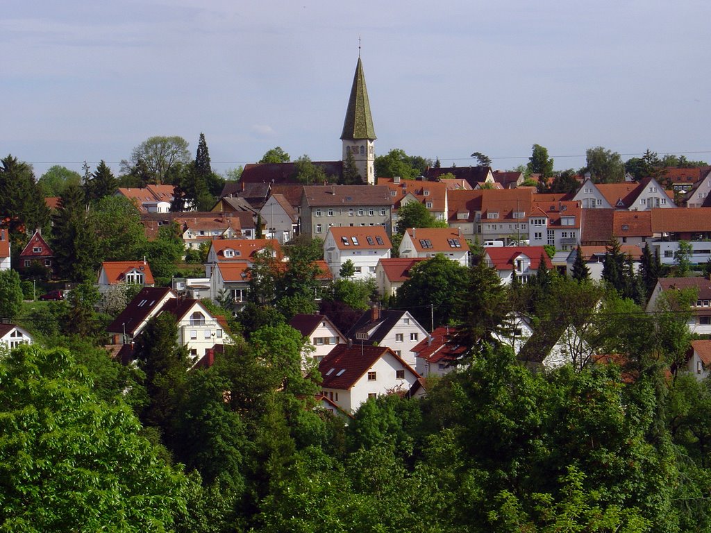 Blick auf Plieningen by StasioA