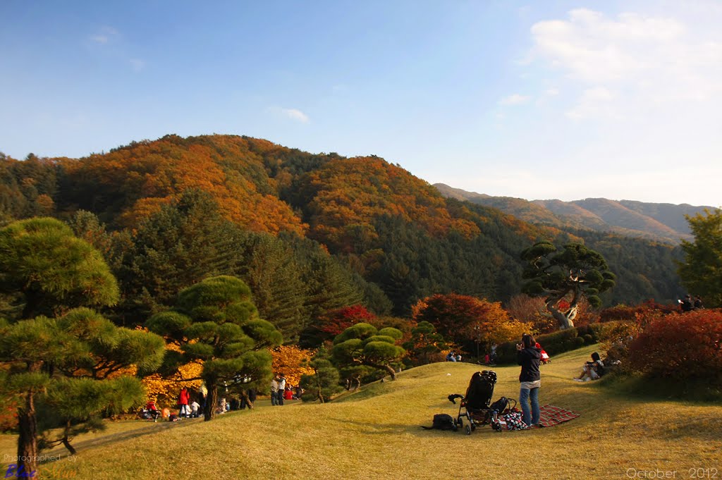 The Garden of Morningcalm, Sang-myeon, Gapyeong-gun, Gyeonggi-do, Korea by Blue Mun