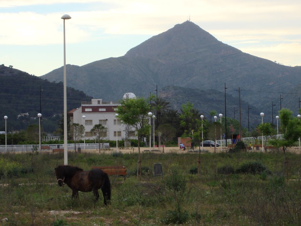 Colegio detras de Percherón by Viatjant