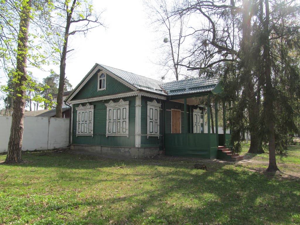 Зелений будинок серед дерев * building surrounded by trees by i.bulyha