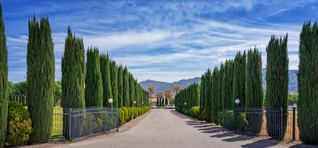 Entrance drive to Beaver Dam Lodge by NevadaJack