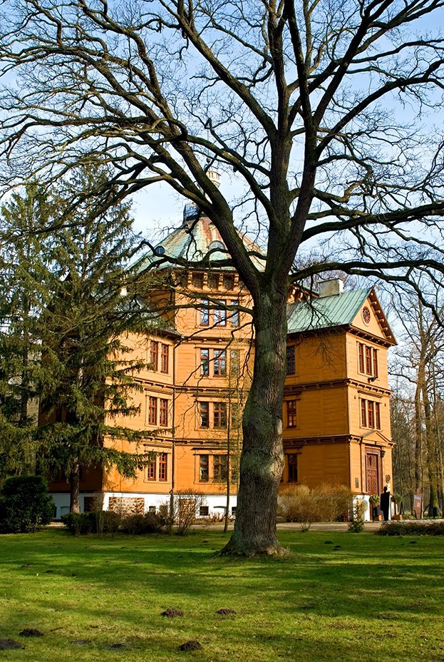 Antonin - Radziwiłł's château by Rumpelstiltskin