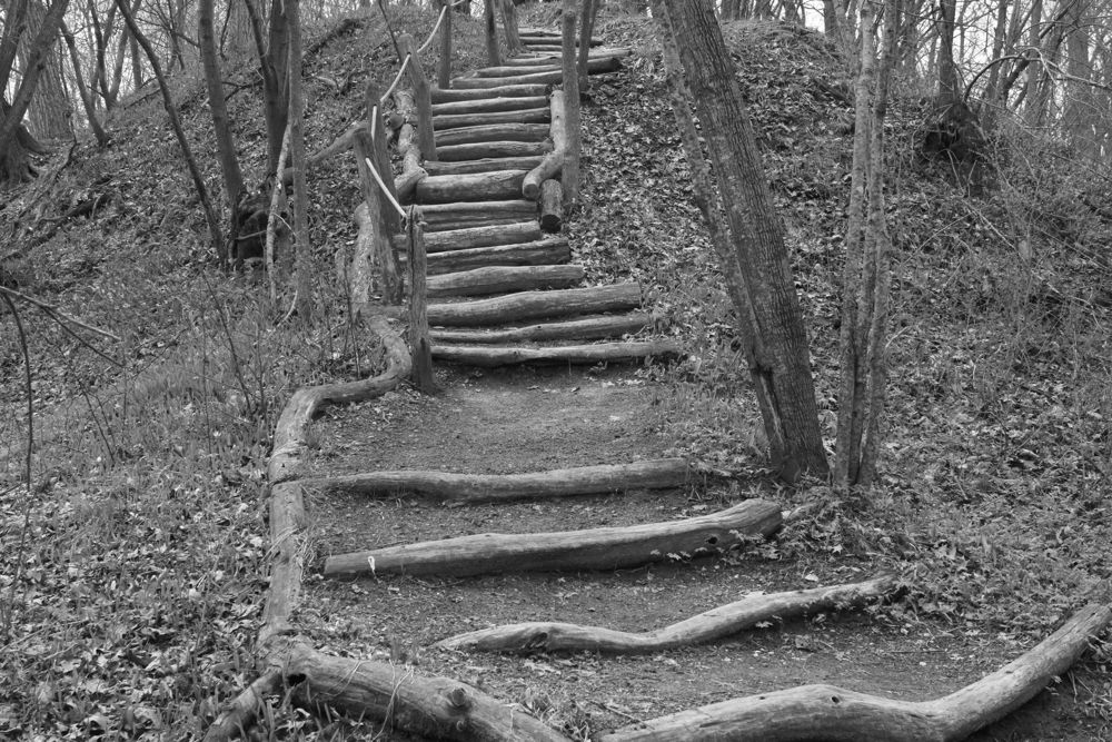 Crooked Stair Case by Bernadette K