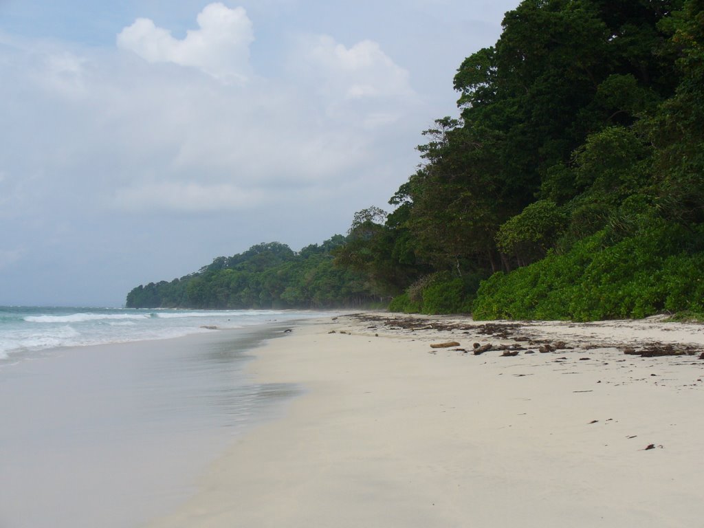 The Radhanagar beach by Ankur Jaiswal