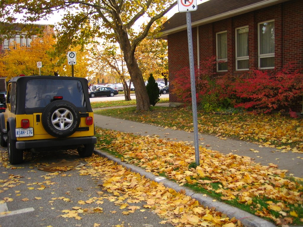 At the END of Fall 2005 @ Wyandotte St and Askin Ave, Windsor, ON by Hossain Khan