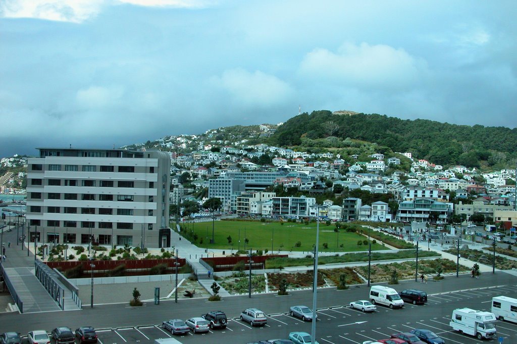 Waitangi Park by Eva Kaprinay