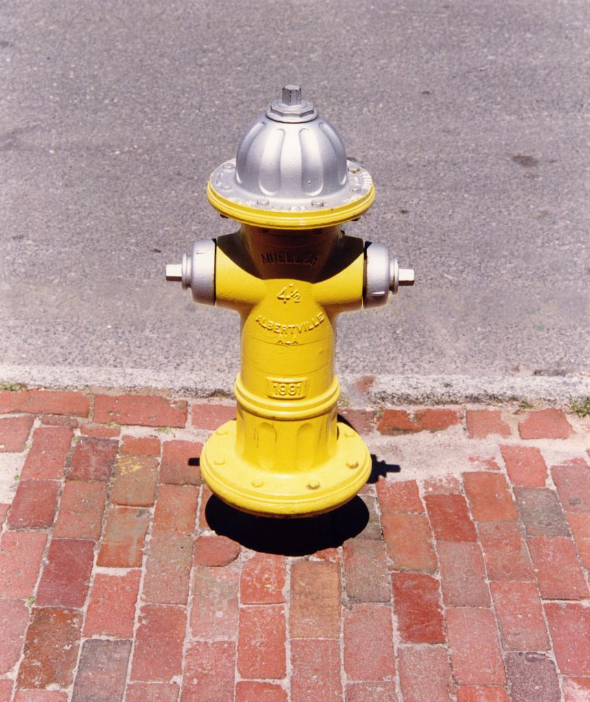 Hydrant usa nantucket by simon santi