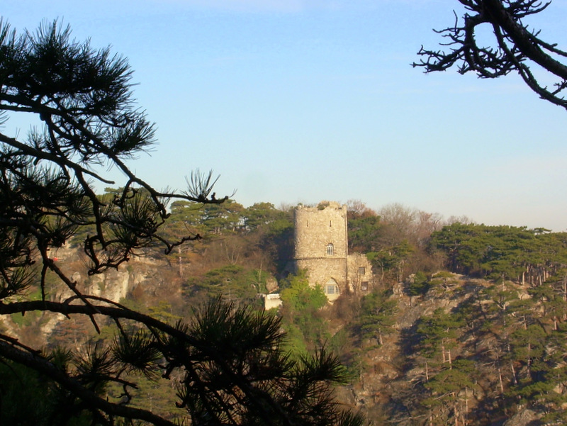 Schwarzer Turm mit Föhren- ... by fuzzy_von_steyr