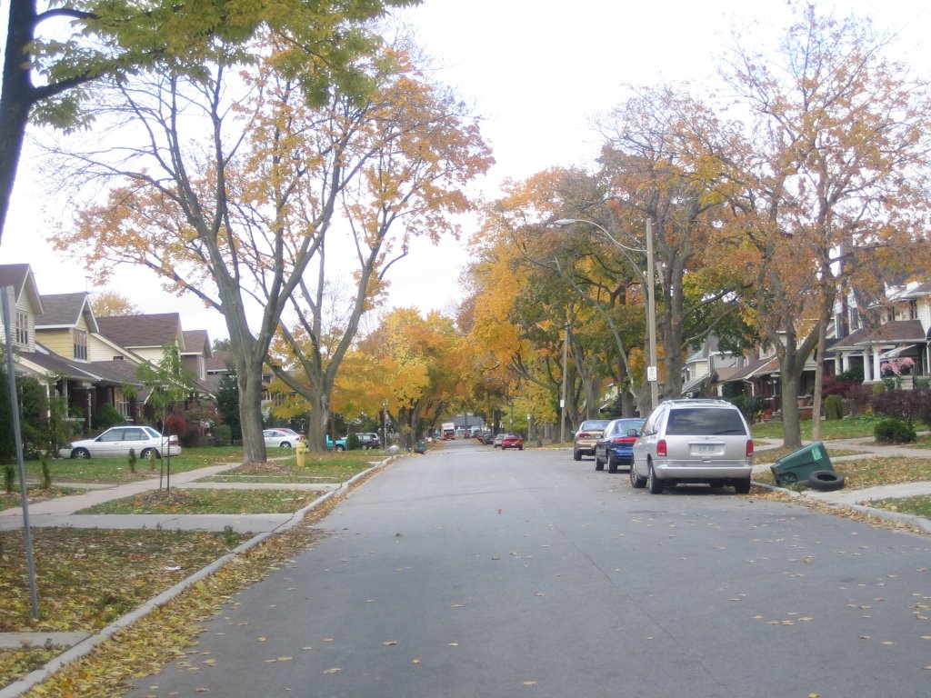 Partington Ave @ End of Fall - Windsor, ON by Hossain Khan