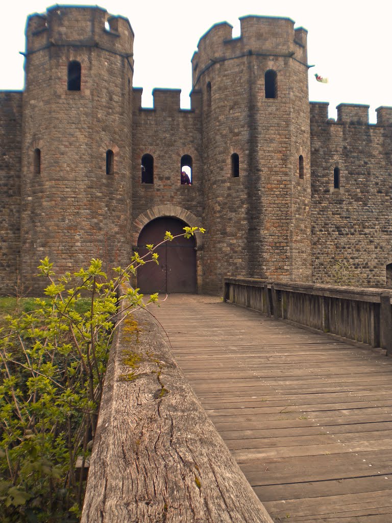 Cardiff Castle by David Owen