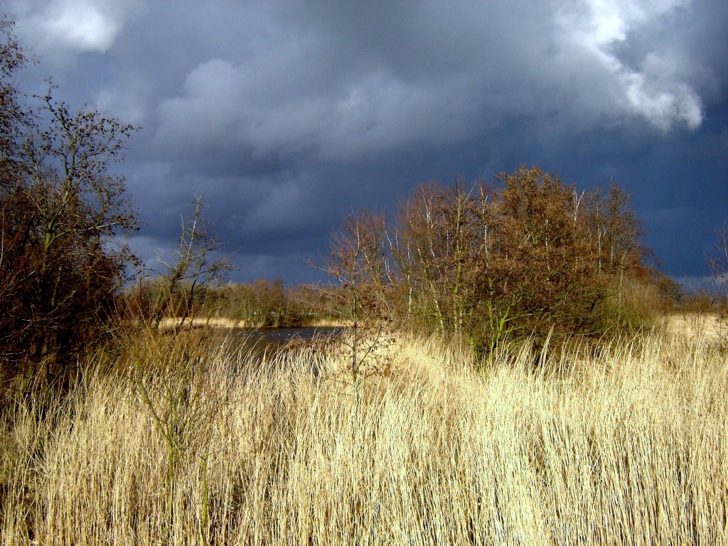 Cold Rainclouds and Ackerdijkse Plassen Holland by jan parie