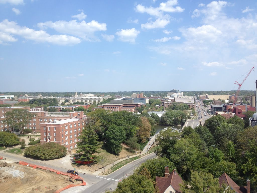 View of Iowa City From Slater Hall by gunneratg