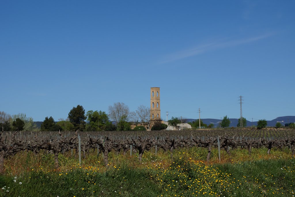 Campanile by gmbgreg