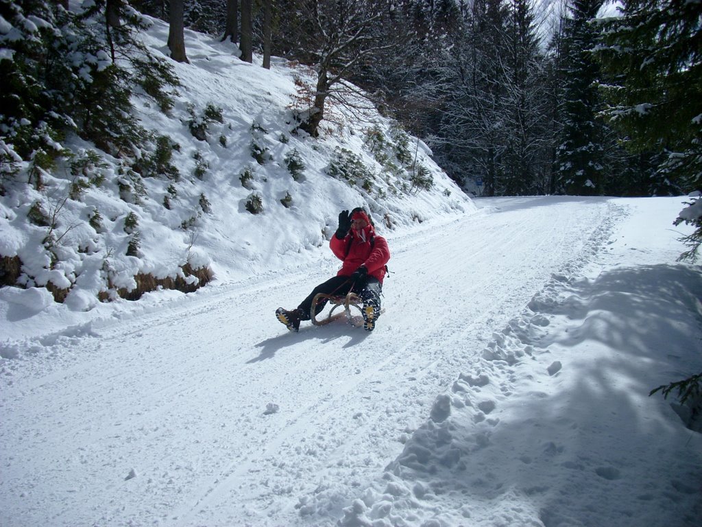 Wallberg Rodelbahn - Toboggan Ride by High View