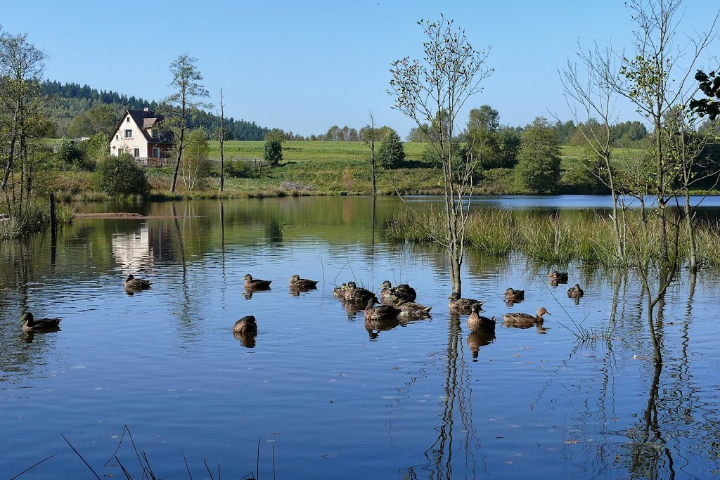 Vernéřov u Aše by Jarda Lhoták