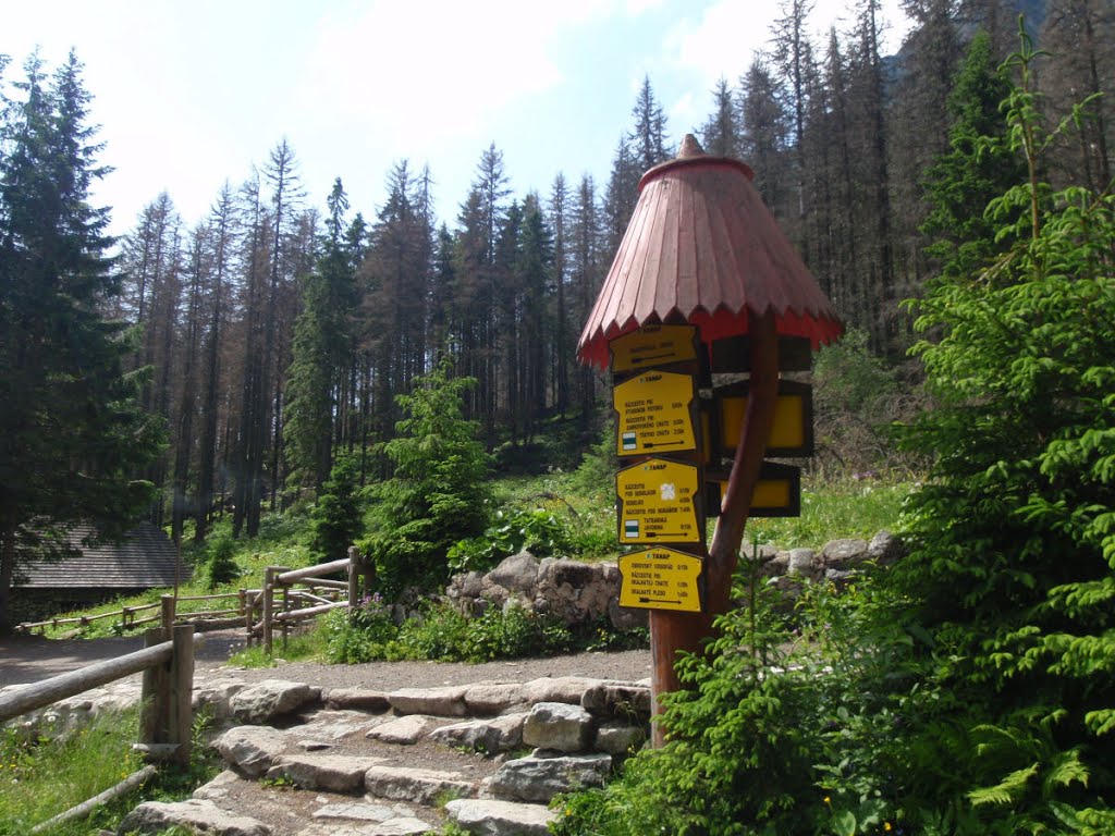 Starolesnianska poľana 1285m, rázcestník by HomerJ.