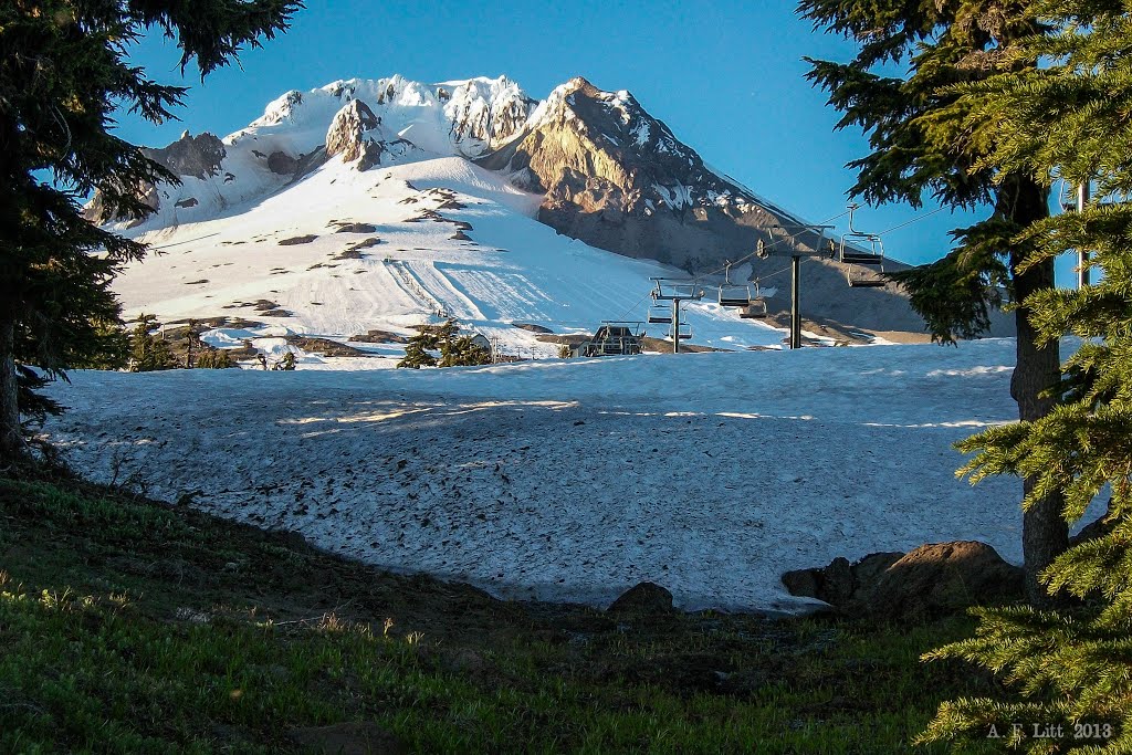 Magic Mile Lift & Mt. Hood in July by A. F. Litt