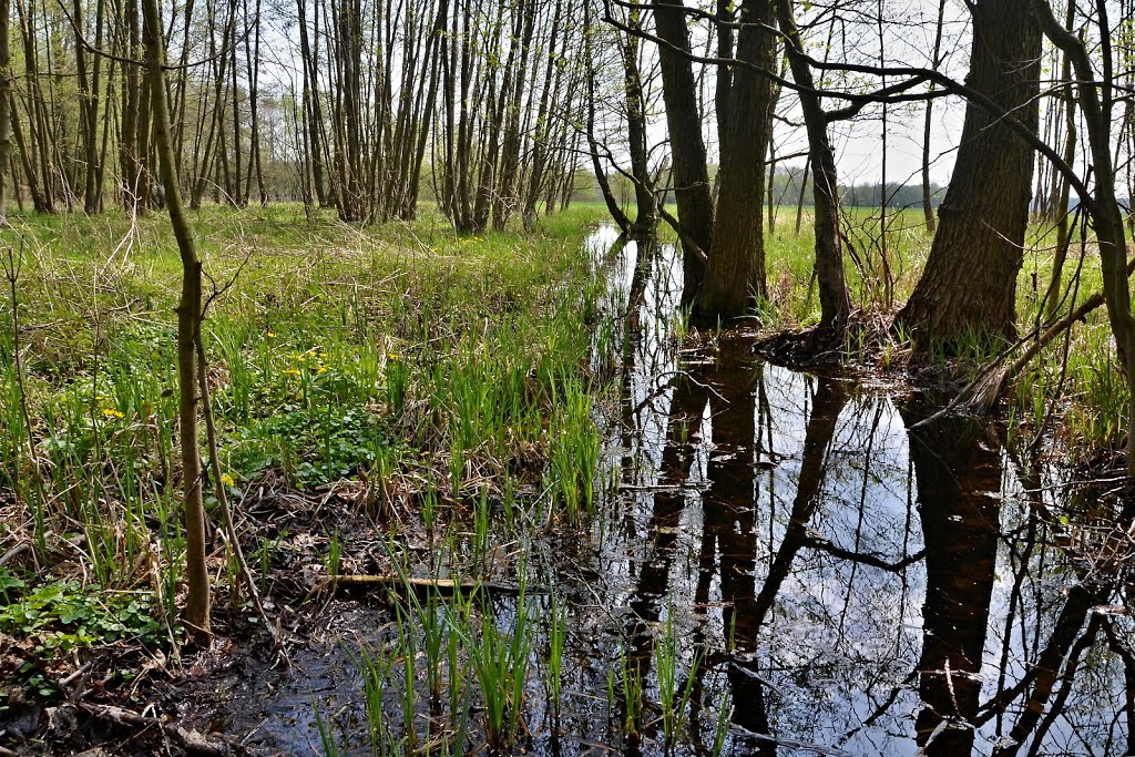 Mokřiny u Pamětníka by bikemp