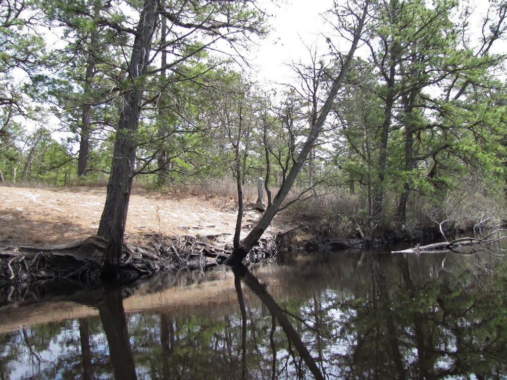 Mullica River Sand Banks by Chris Sanfino