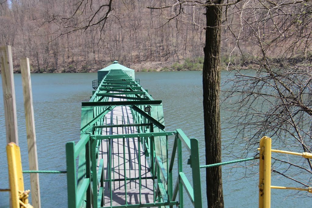 Hinckston Dam Lower Honan Ave Bike Route by Ron Shawley