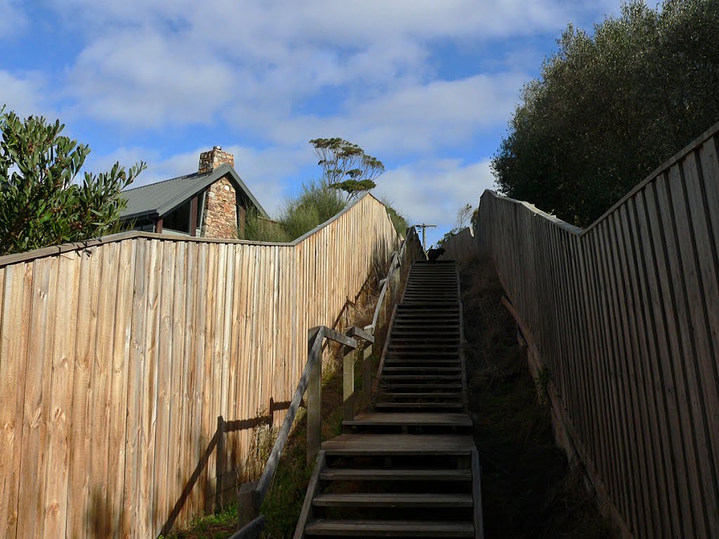 Steps by Richard Horvath