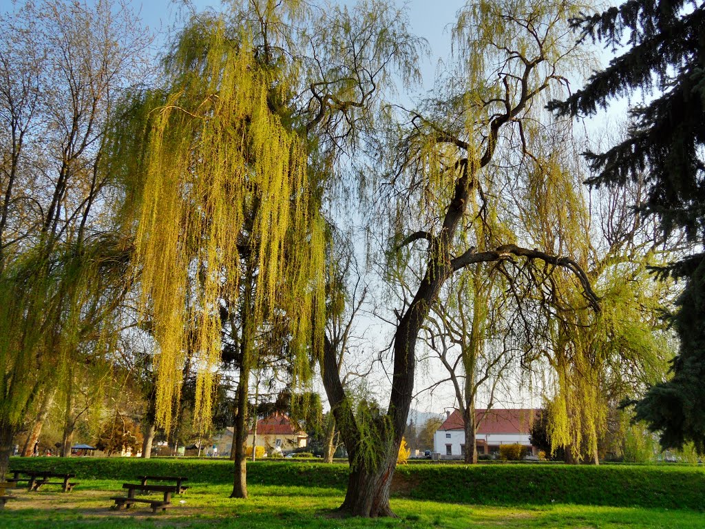 Visegrád, City park by Lorant