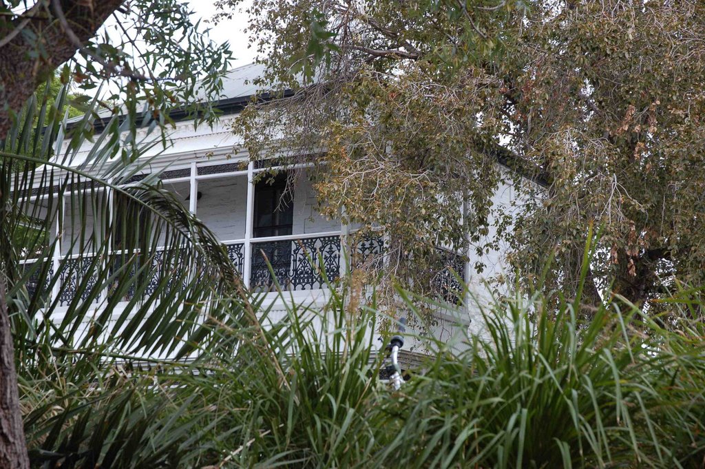 House on Simpson Parade from creek by Darcy O'Shea