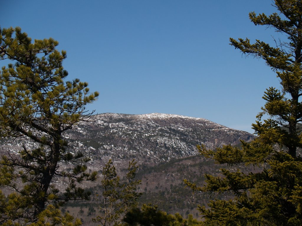 Cadilac Mtn. From Gorham Mtn. by G Dunphey