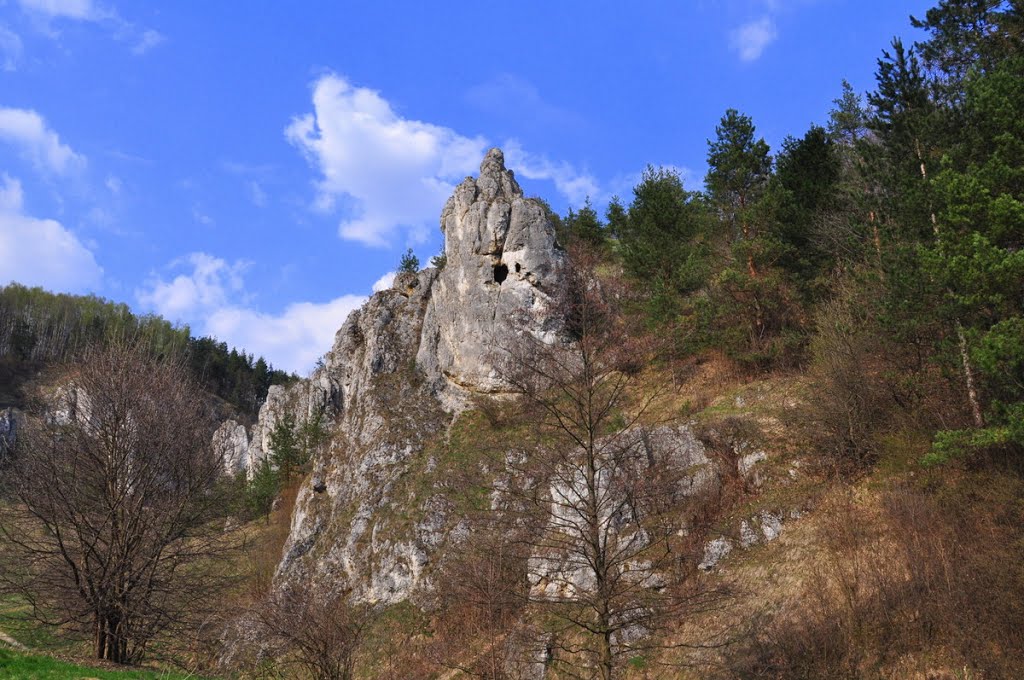 Dol Kobylańska pod Krakowem by ewamaya