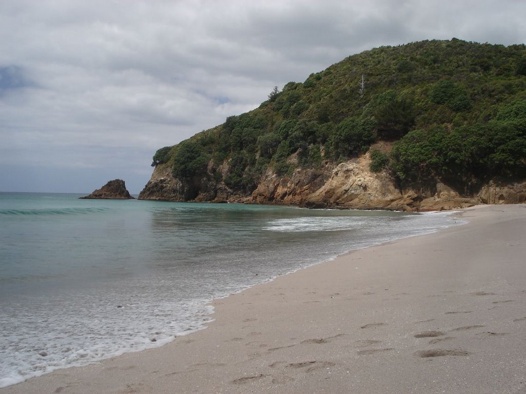 Southern part of beach at Orokawa Bay by Wolf Holzmann