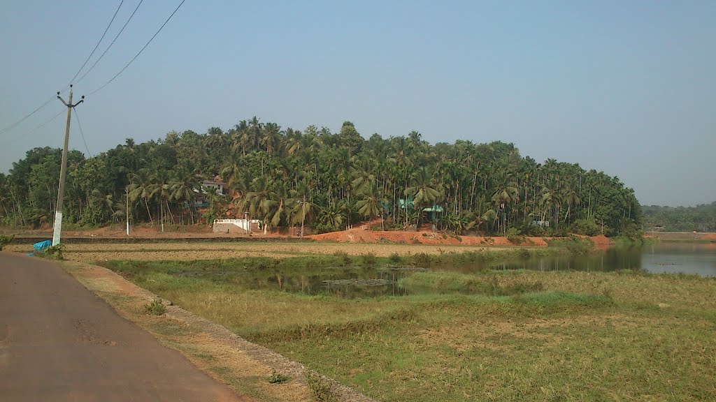 Vazhakkad, Kerala, India by Abdul Hakkim