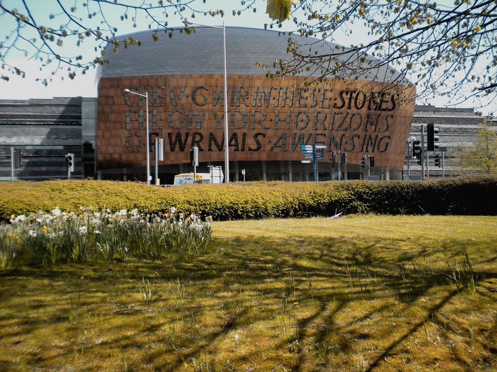 Cardiff Bay by David Owen