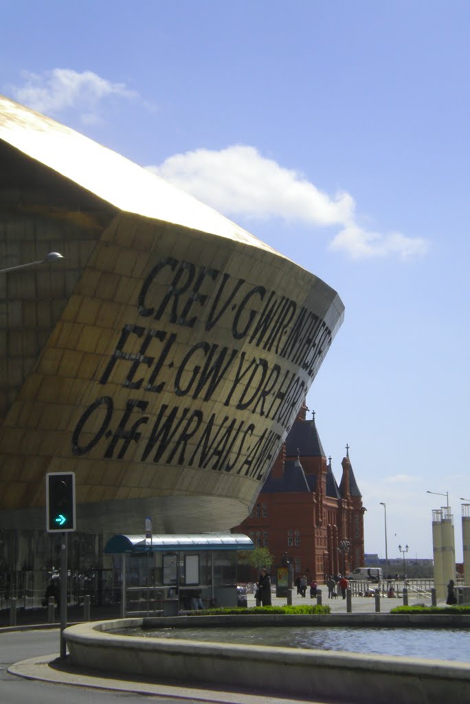 Cardiff Bay by David Owen