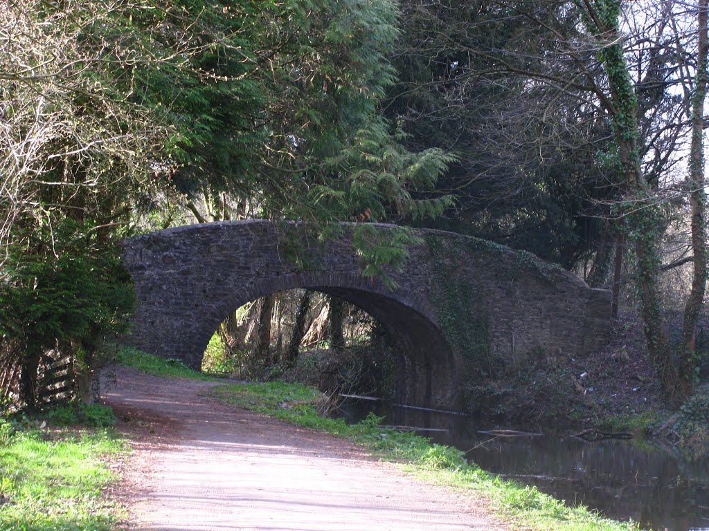 Malpas Court Bridge by dave_roberts_wales