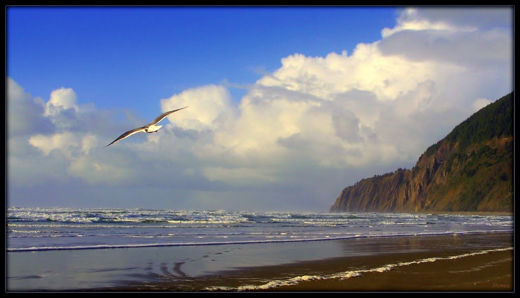 Where the Earth Meets the Sea by Shimya