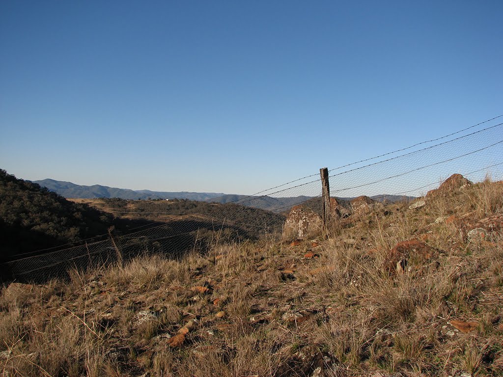 Macpherson Hill by Wade Homewood