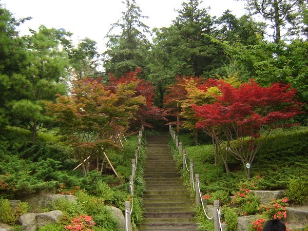 Dongseo University Summer 2007 by Skaine