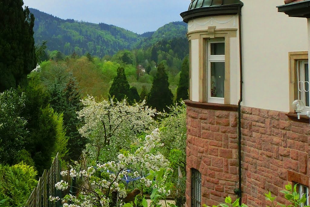 Frühling im Nordschwarzwald by B@deNerin