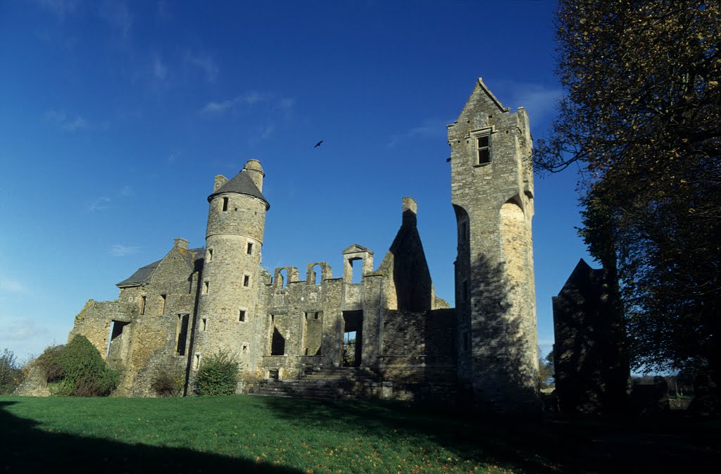 Château de Gratot by wazo